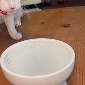 おー　つめて〜なぁの画像