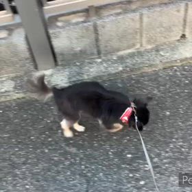 いい天気です。の画像