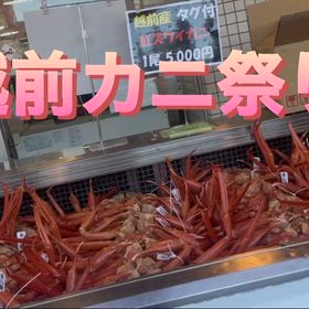 越前カニ祭りの画像