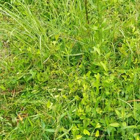 ご協力お願いしますの画像