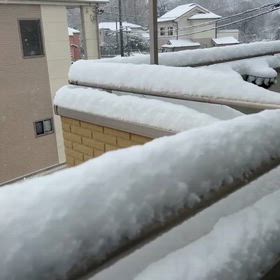 エッ　マジでございますか？の画像