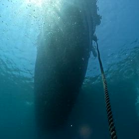 毎日変わる海中景色にワクワク⤴️ウグル島の画像