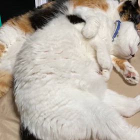 尋常じゃない暑さの中での画像