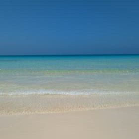 半年経ってしまったの画像