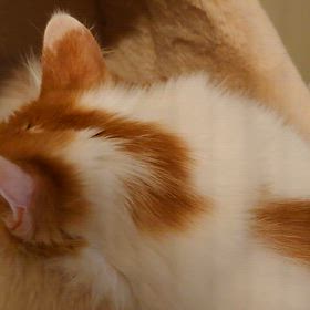 うみとやま2063日目（生後5年9ヶ月7日）の画像