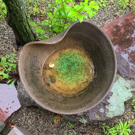 こんにちは。(6月3日)の画像