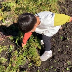 大地と子どものパワーの画像