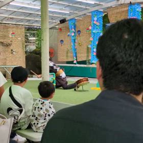 おさるランド＆アニタウン日光さる軍団劇場への画像