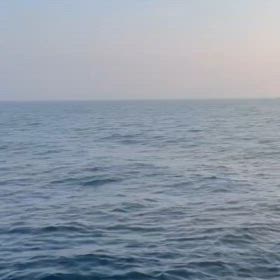 ジギングデビューおめでとうございます！の画像