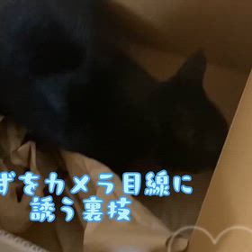 YouTubeよりの画像