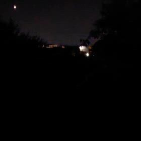 久しぶりの散歩の画像