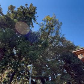 形・色・音のエネルギーの画像