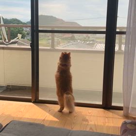 おやすみの画像