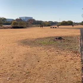 ミニ駅伝(安比奈親水公園)②の画像