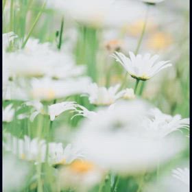 ほっこり、ほっこり、Peace fullでした　♡の画像