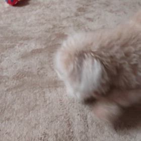 １月１５日の画像