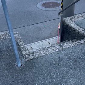 朝の散歩2025/09/12の画像