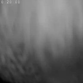 なんか辛いの画像