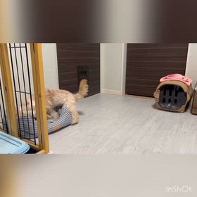 生後5ヶ月vs生後7ヶ月の画像