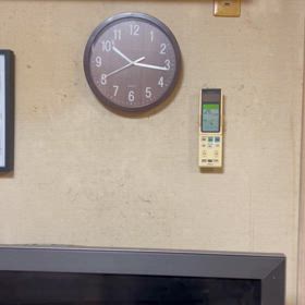 ん？みたいな顔が最高に可愛い月見うどんちゃん(*´-`)の画像