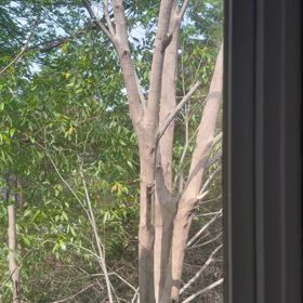 なんですか？の画像