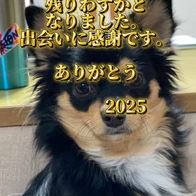 ありがとうございましたの画像