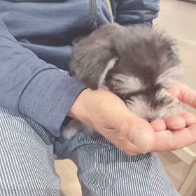 2025/6/5 新しいコトの画像