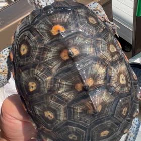 マジ久しぶり。笑の画像