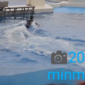 ランちゃんの画像