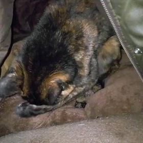 寒いけど……の画像