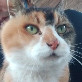 マーちゃんと雨宿り。の画像