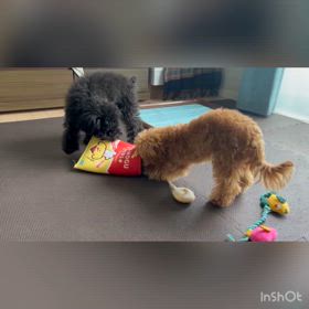 ハッとさせられた言葉の画像