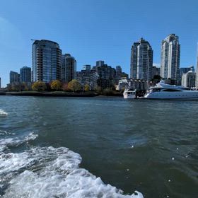 あっという間に１年の画像