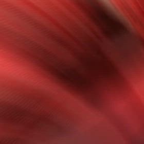 もみじと紅葉は同じの画像