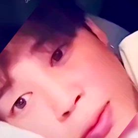 癒やし………の画像