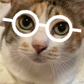 コミュニケーション力♪の画像