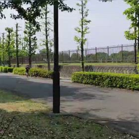 4/29 1000m②の画像