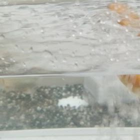 水槽洗いの画像