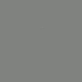 鳥のさえずりの画像