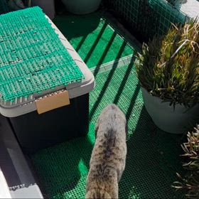 掃除機の音にwの画像