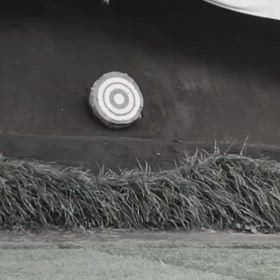 別に信者つう訳でもないけどの画像