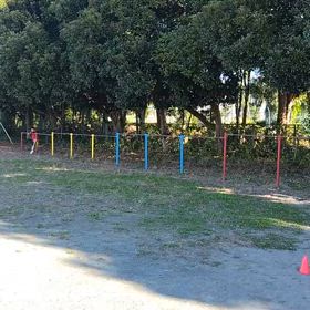 11/23 走り幅跳び⑤の画像