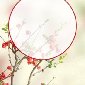 新年のご挨拶の画像