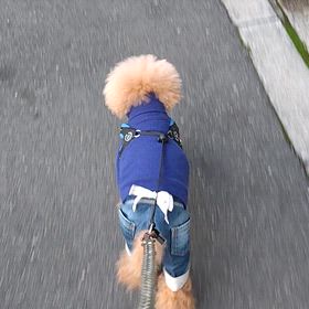 漢方とか鍼灸とか…の画像