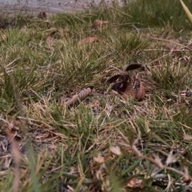 一日中。の画像