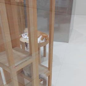 イベント多彩な日曜も得るものなしの画像