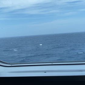 中古車購入奮闘記#25の画像