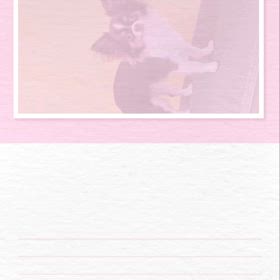 DOGXDOG  ピノくんの画像