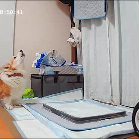 初めての体験の画像