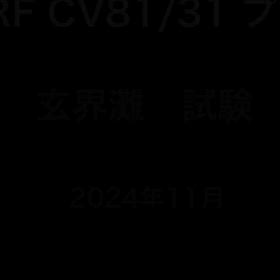 CRF-CV81/31 どのようなロッドかの画像